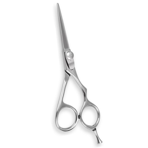 Professional Hair Cutting Scissors
